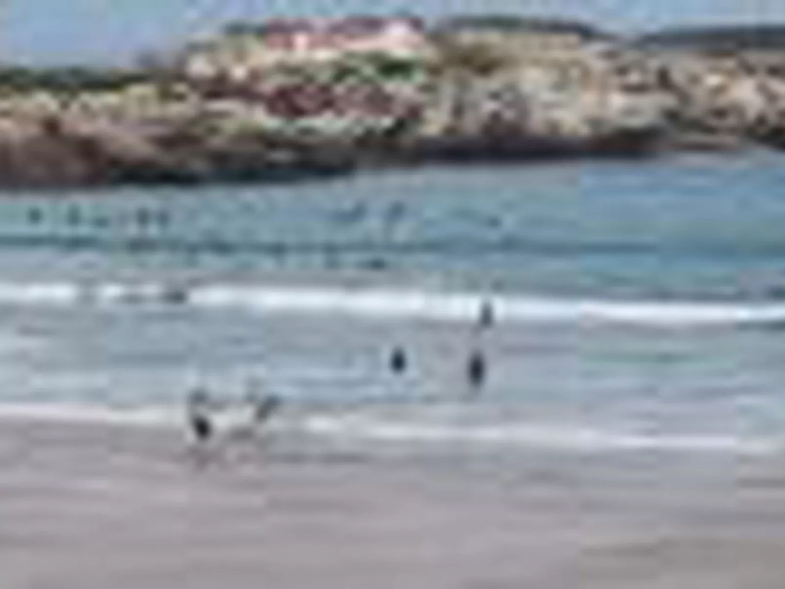 Brandneue Strandwohnung 1-Buiten