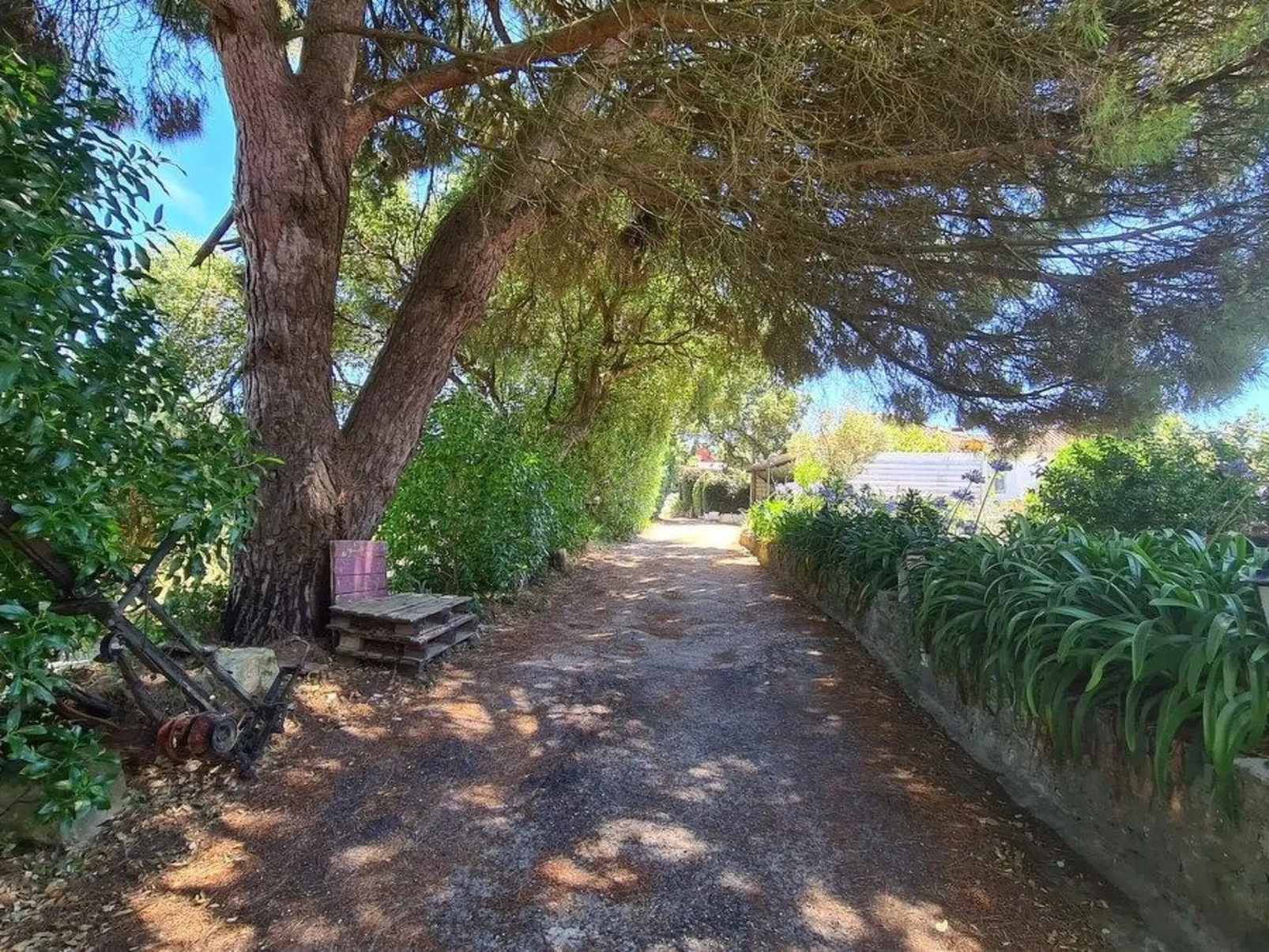 Haus in einem Bauernhof zwischen Weinbergen 2-Buiten