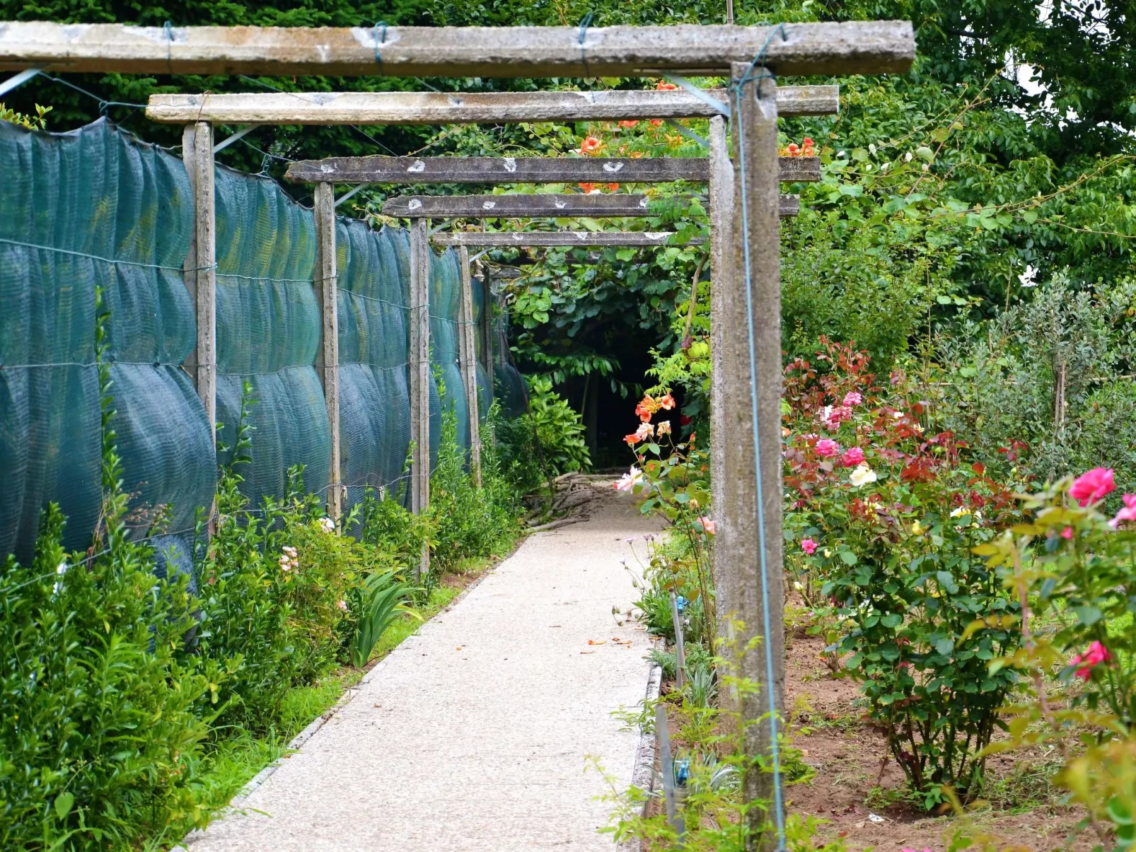 Quinta D'Avó Amélia, wunderschönes Landhaus zwischen den Bergen und dem Meer-Image-tags.info