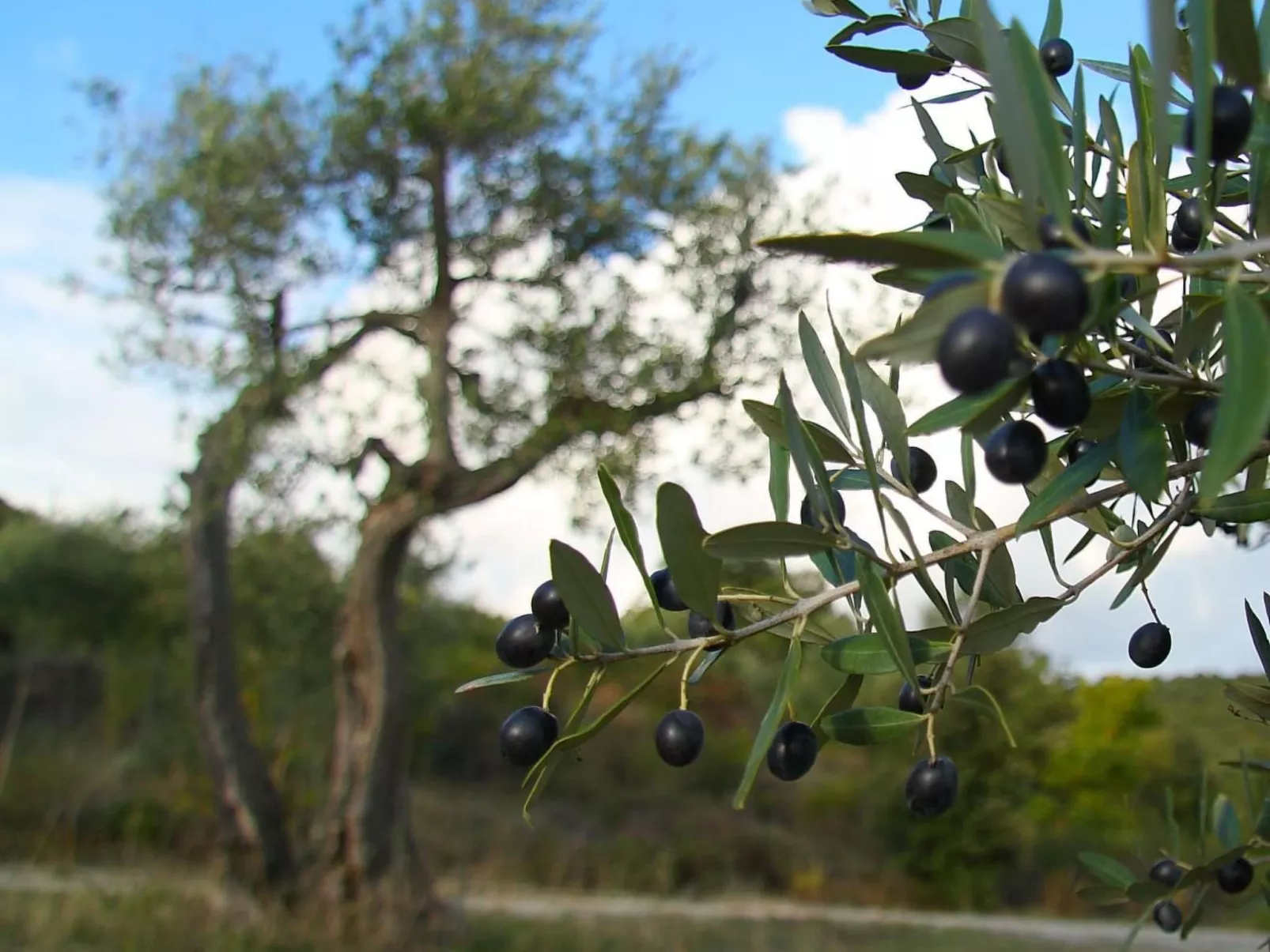 Gemütliches Studio im Erdgeschoss, mit Terrasse-Buiten