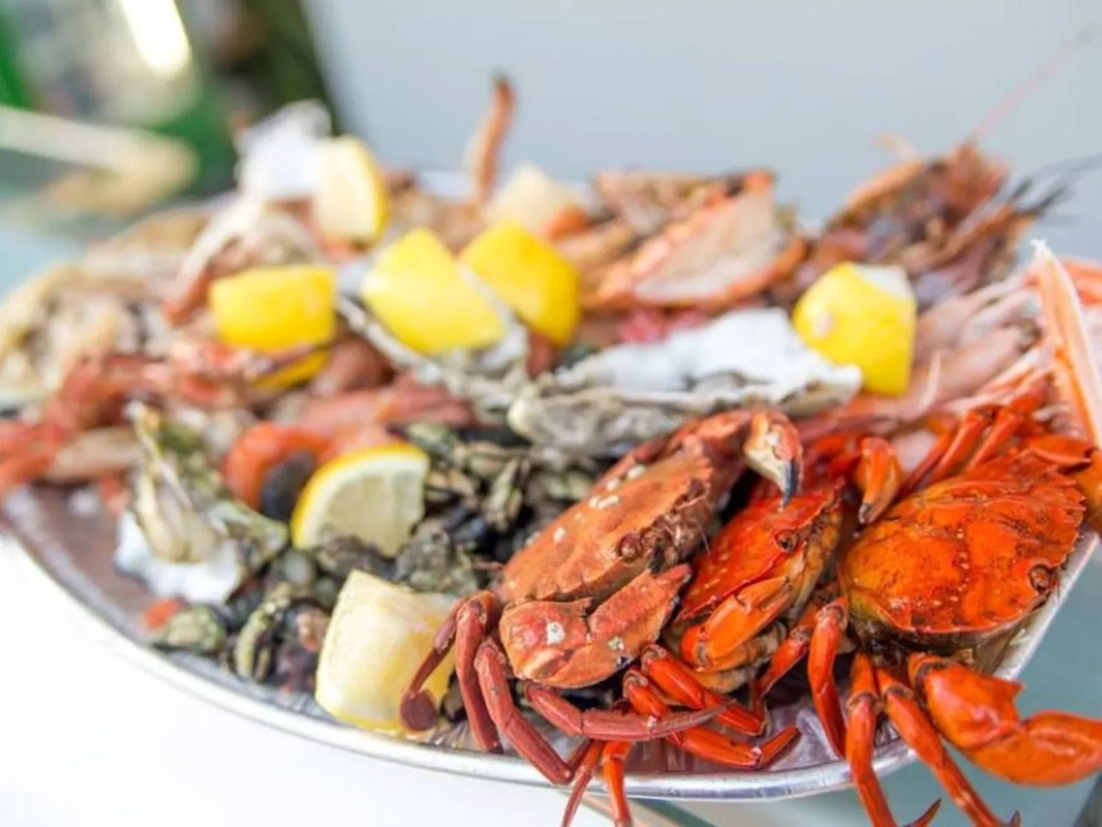 Villa Azinhança do Mar-Image-tags.info