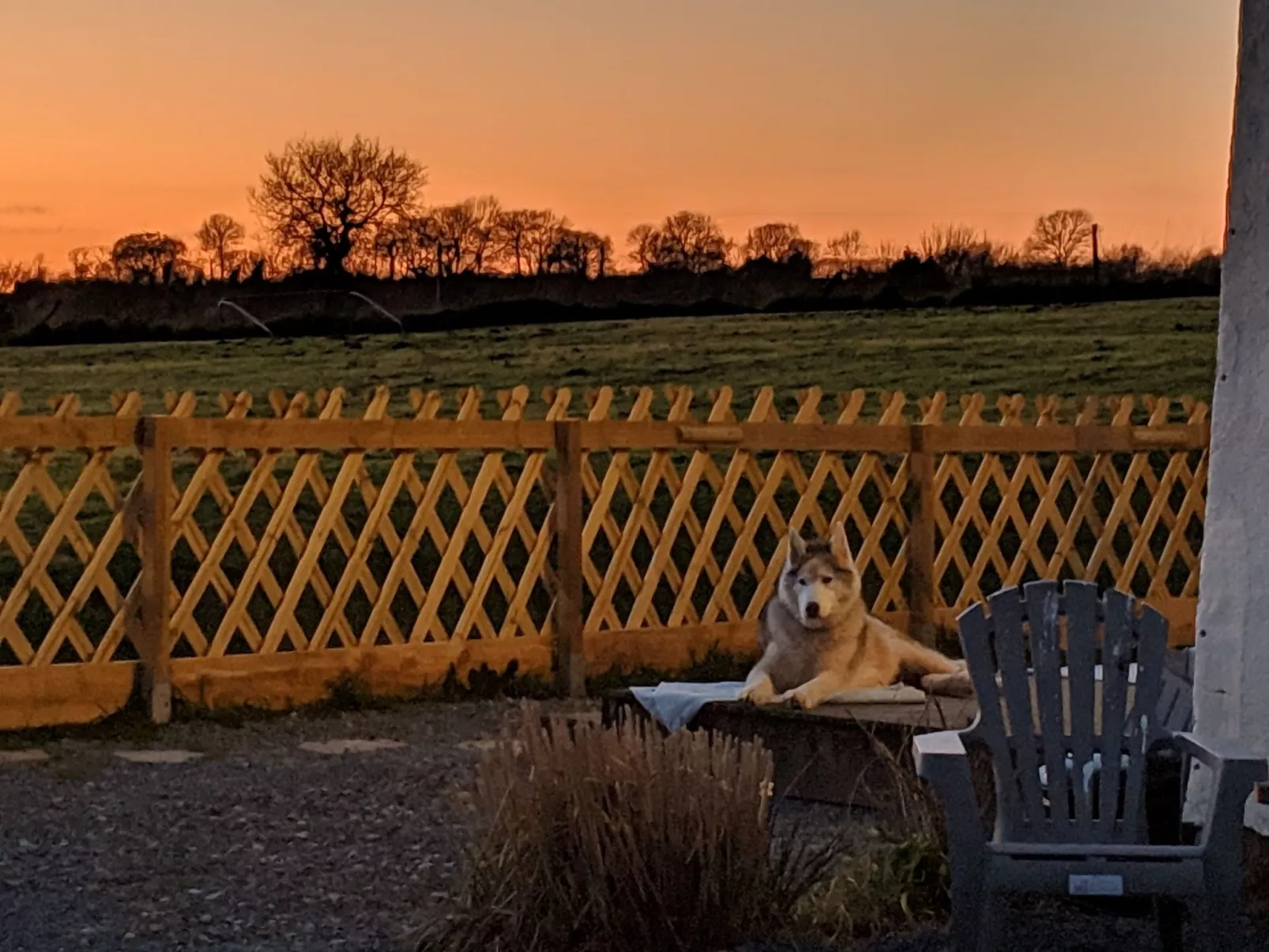 Helles, offenes Ferienhaus, Gemeinschaftspool Hunde-Buiten