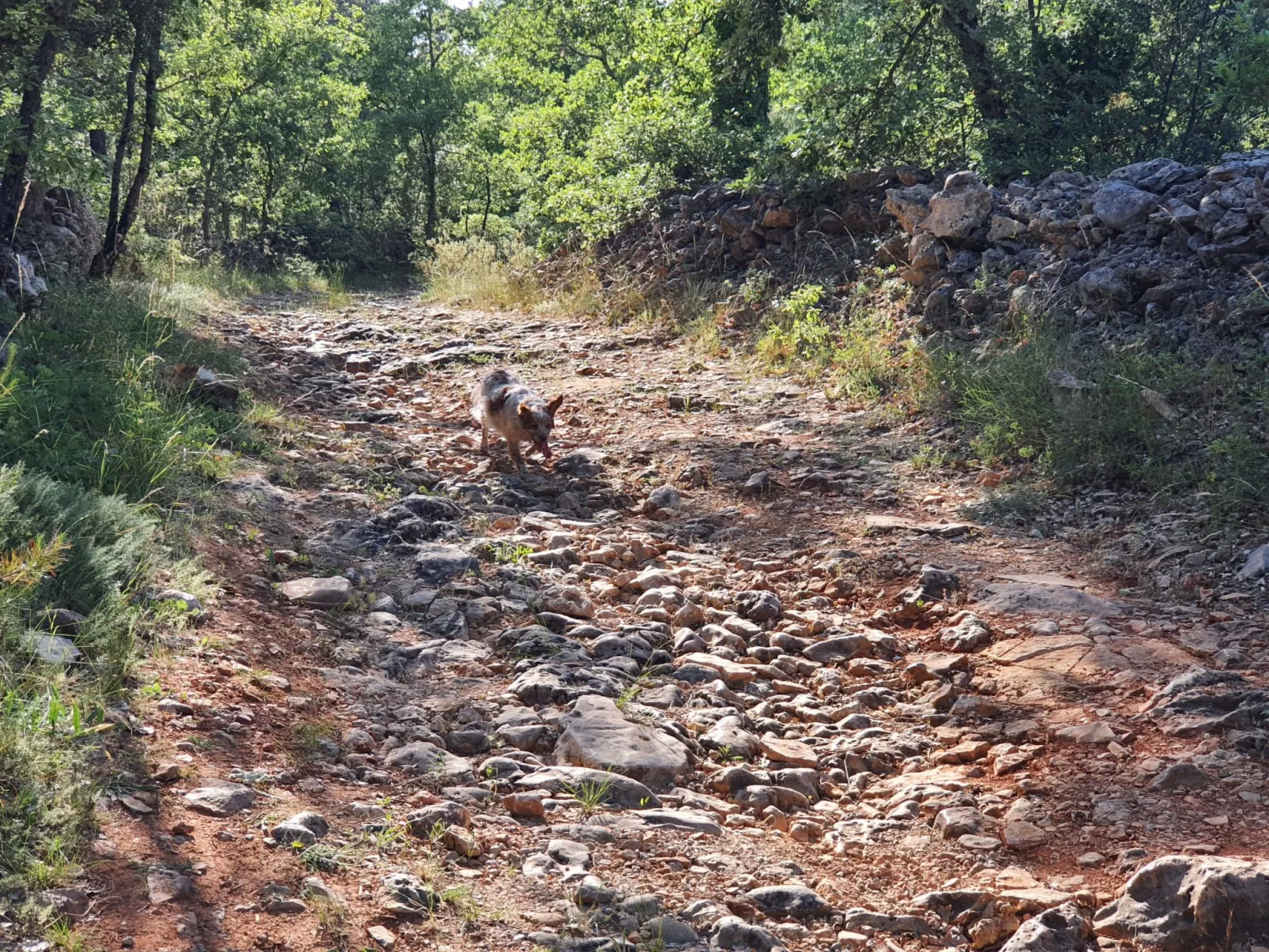 Klimatisiertes Mas Les Heures Bleues mit Pool - Image-tags.info