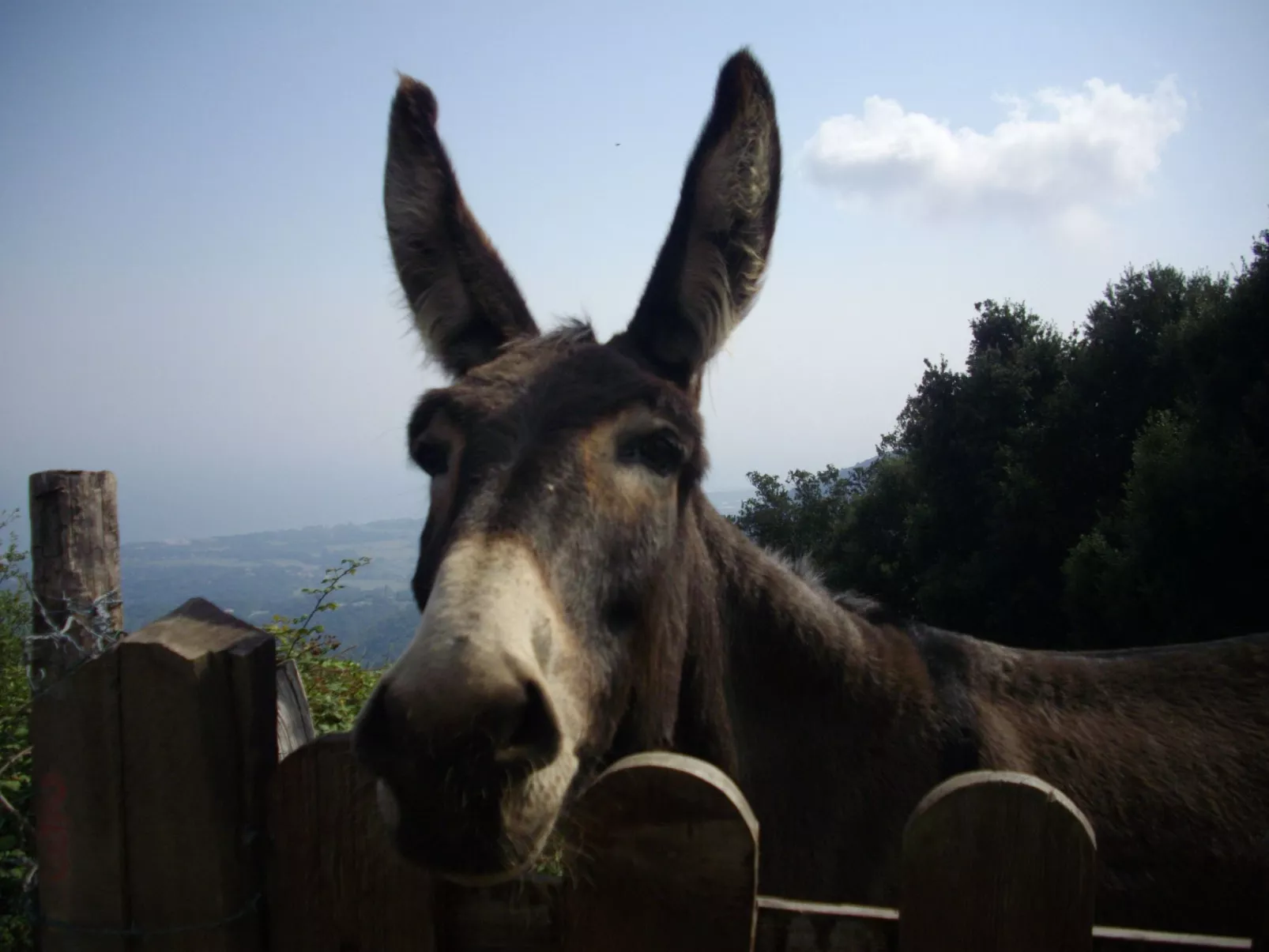 Sole e Ventu 70qm-Image-tags.info