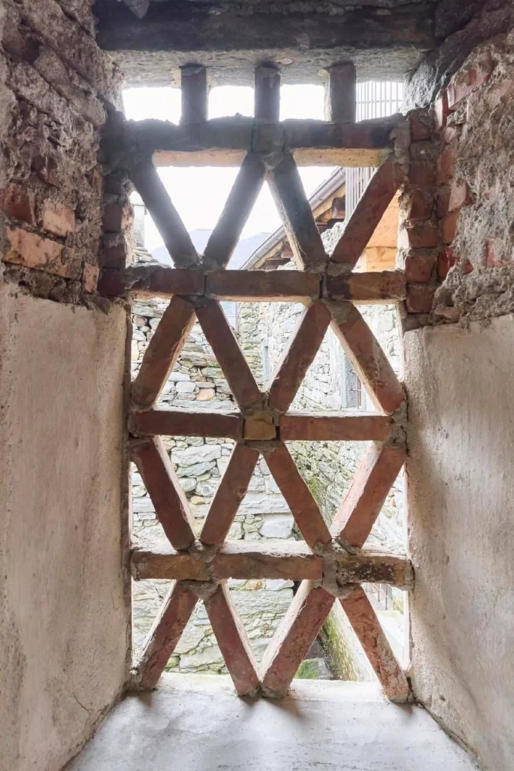 Bifui-Image-tags.info