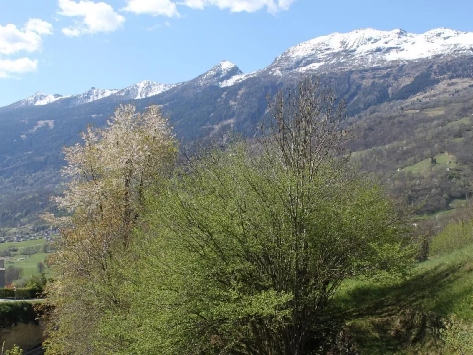 Cò d'Franz-Image-tags.info