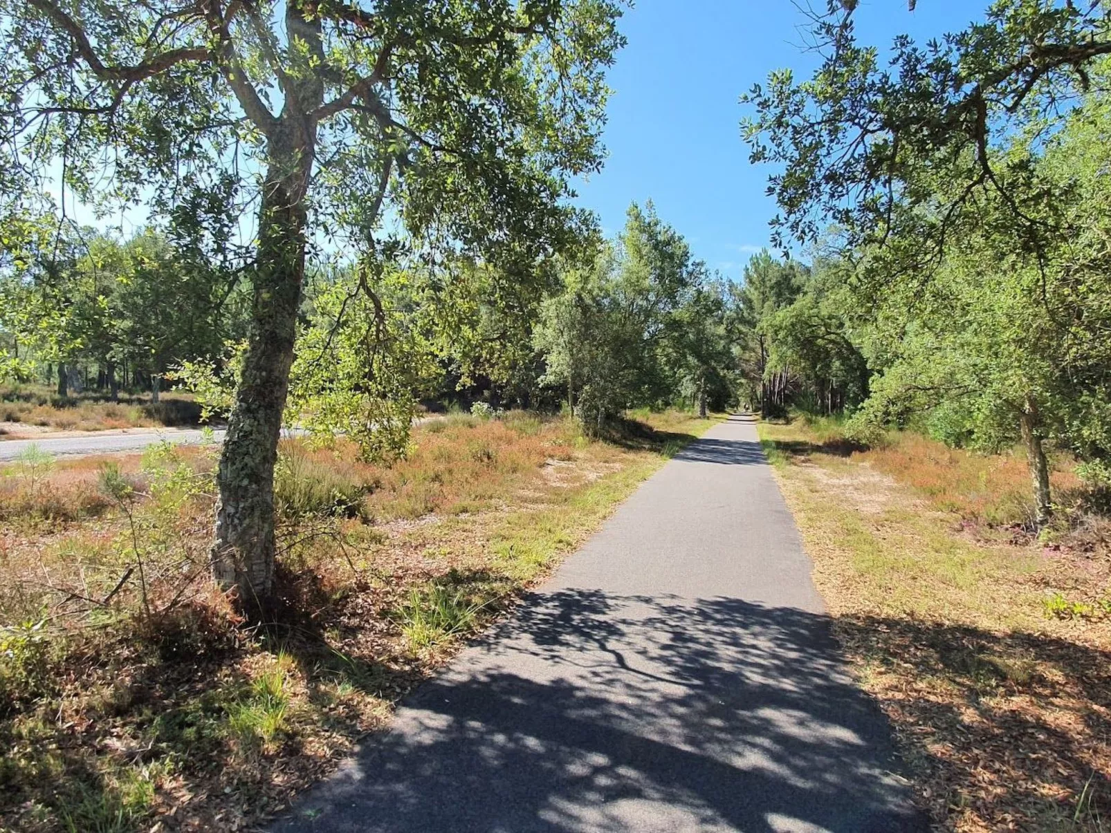 Villa contis plage 900m vom Ozean entfernt - 3 Schlafzimmer-Buiten