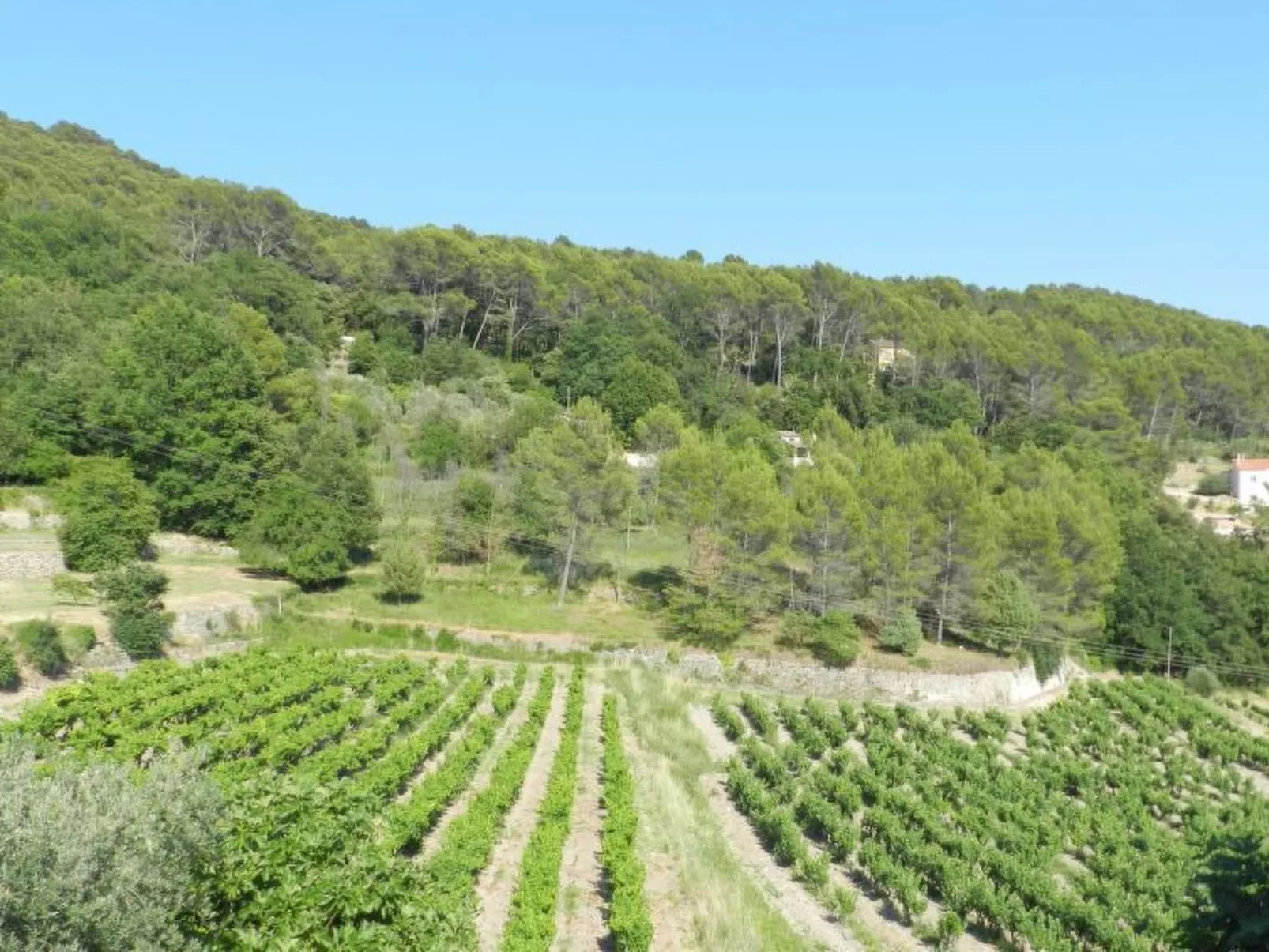 In Draguignan, Côte d'Azur-Buiten