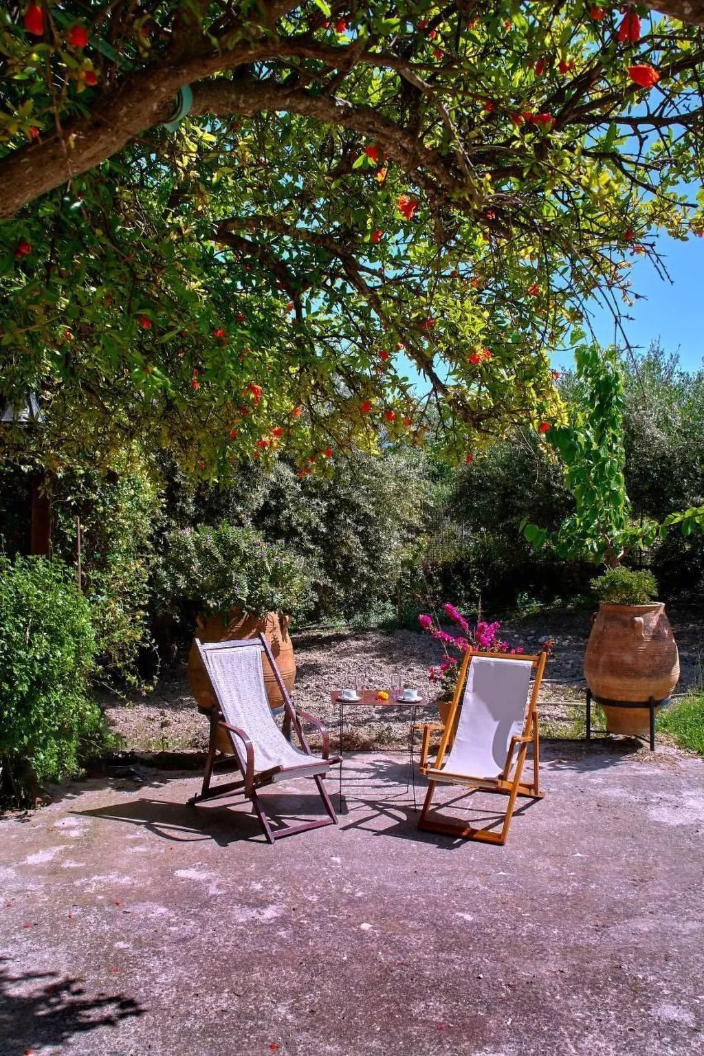 Villa Manthos Traditionelles Kretisches Herrenhaus-Image-tags.info