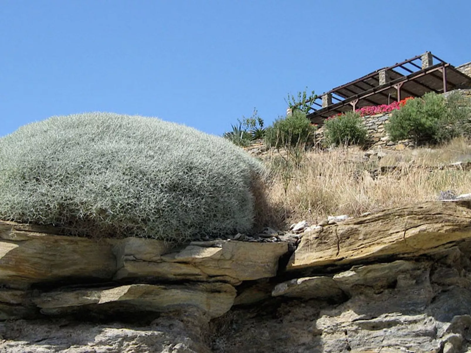 Luxuriöse, ruhige Wohnung direkt am Meer - Privatstrand-Image-tags.info