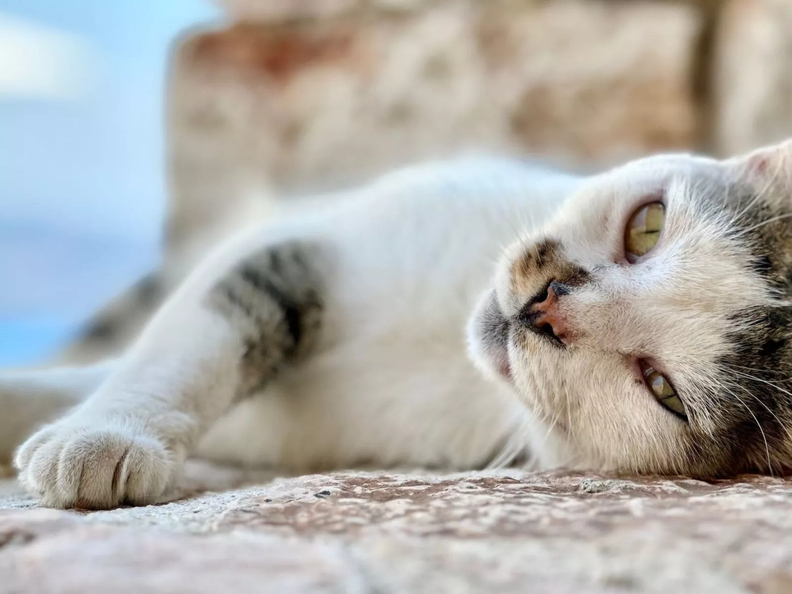 Prächtige Villa in spektakulärer Lage-Buiten