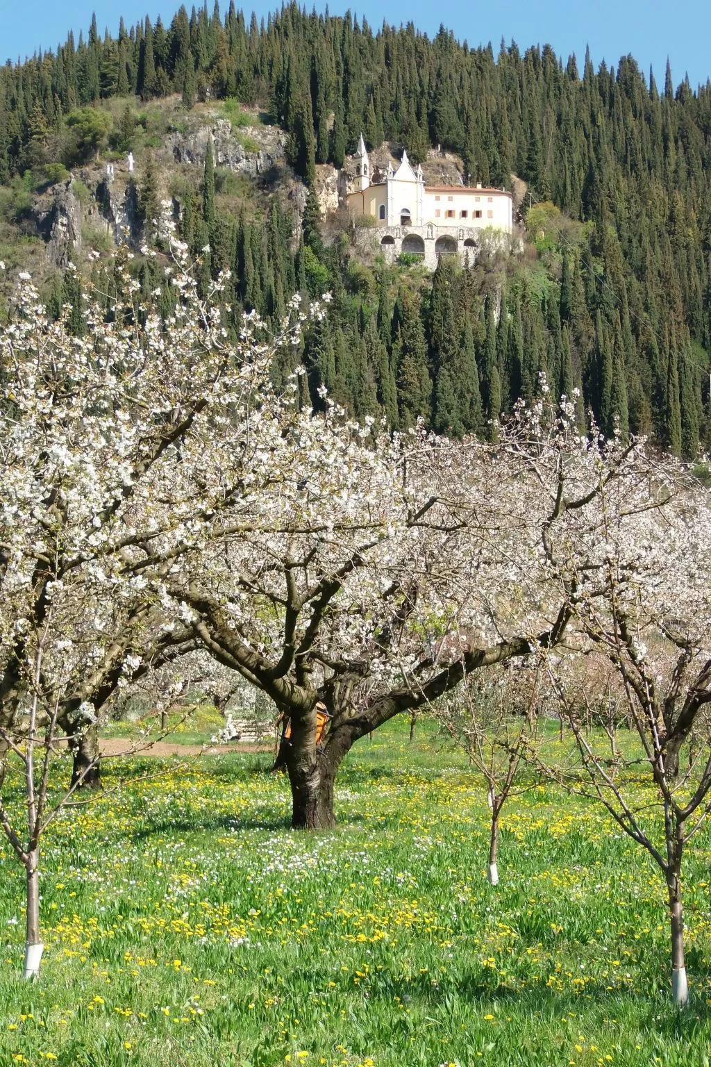 Anwesen mit Garten, Grill und Terrasse-Buiten