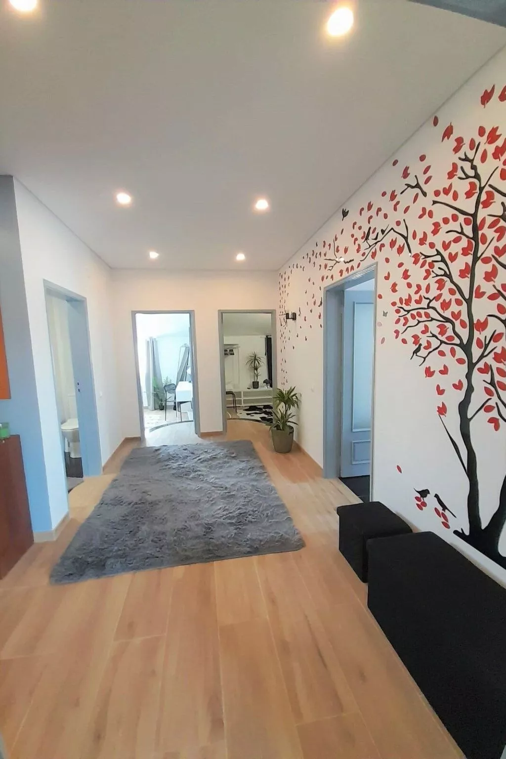 Entdeckungen Wohnung-Binnen