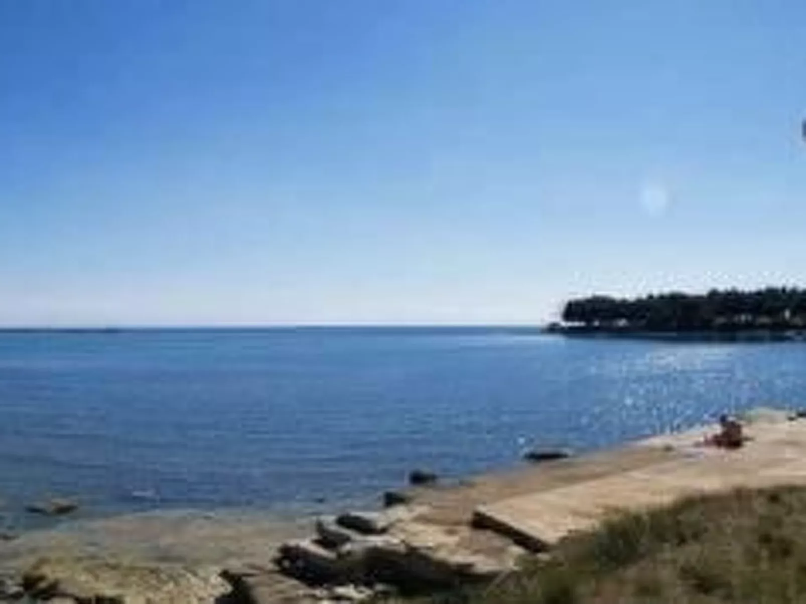 Wohnungen Marko in Novigrad, Istrien HR-Buiten