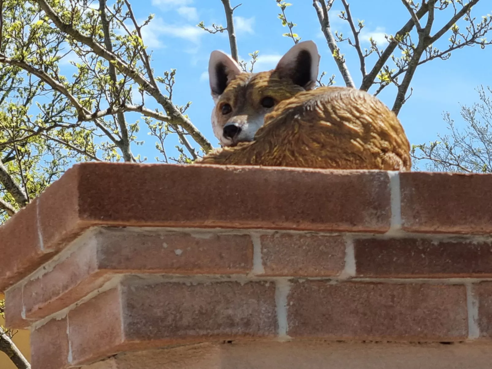 Wohnung "Red Fox" mit privatem Garten-Image-tags.info