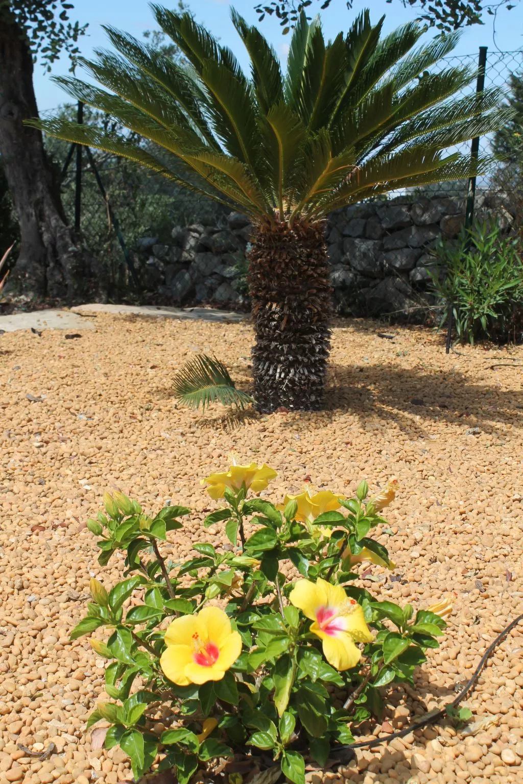 Ferienvilla mit Blick auf das Wasser-Buiten
