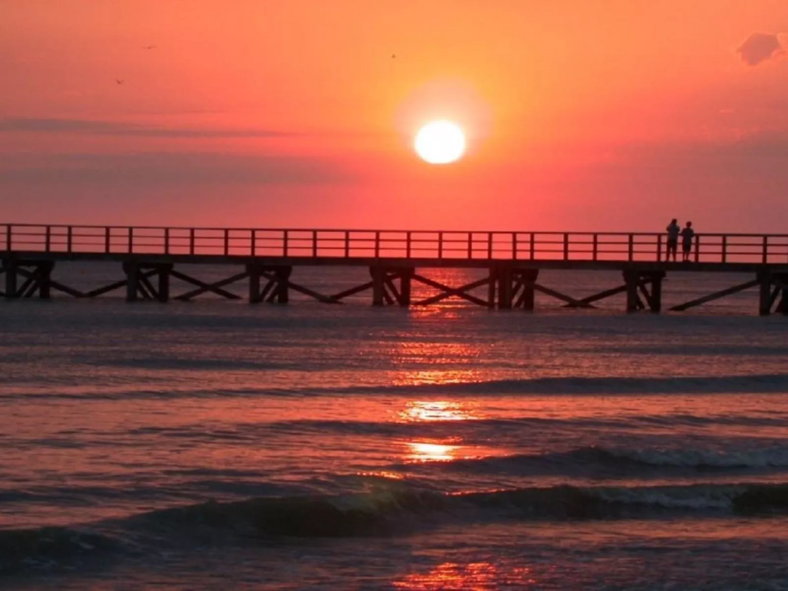 Standort mobiles Haus 3 chambres-Buiten