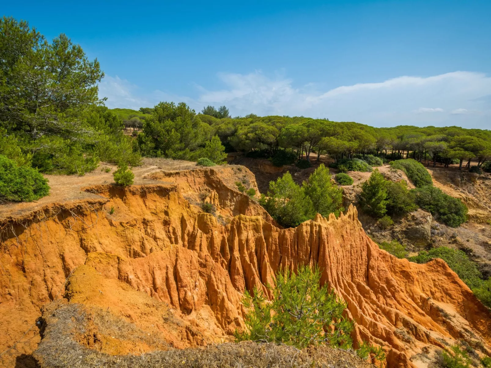 Wohnung "Falésia" mit Gemeinschaftspool-Image-tags.info