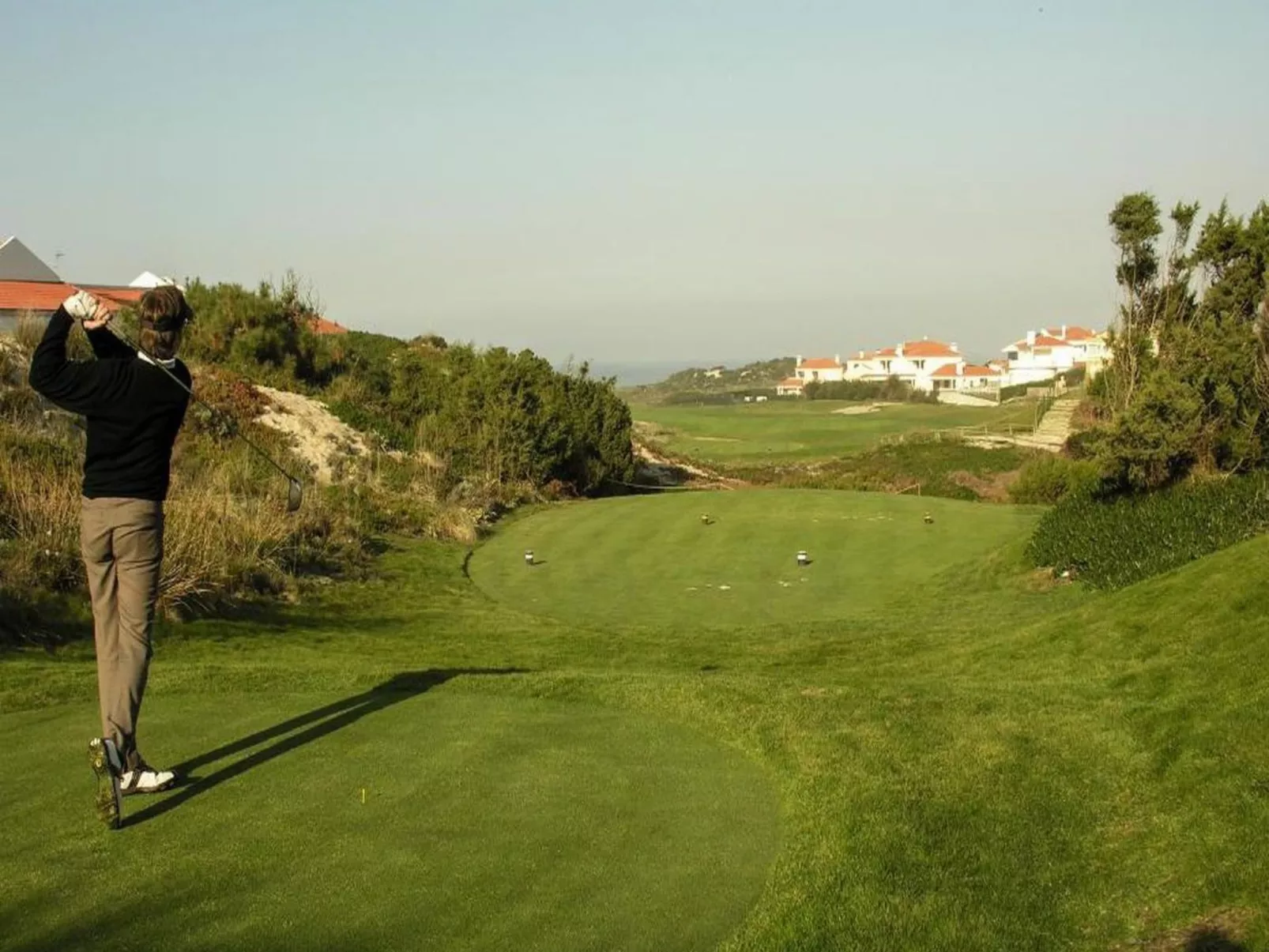 Golf, Pinienwald mit Pool-Image-tags.info