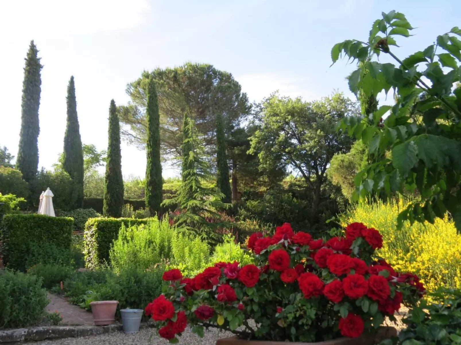 Podere Campolungo - Lo Studio-Buiten