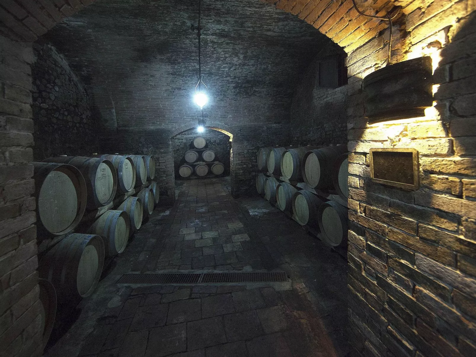 "Ciclamini capponi-Buiten