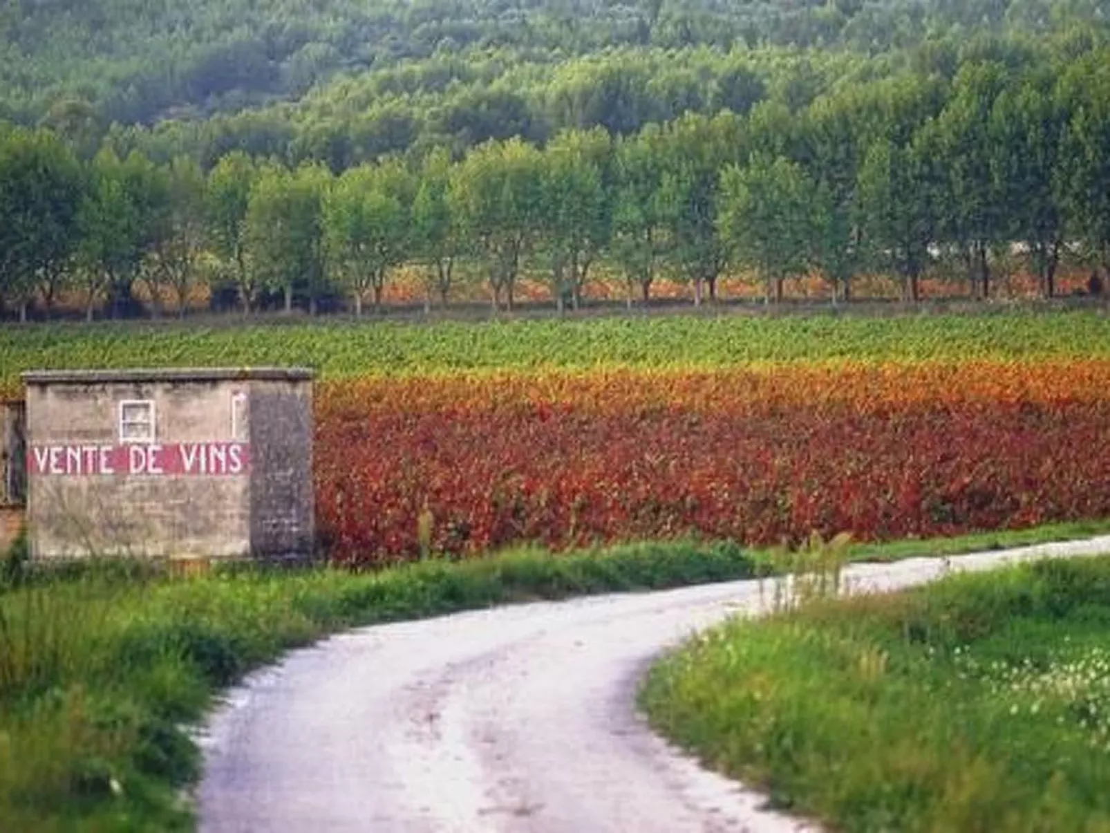 "La CIgale" mit Schwimmbad-Image-tags.info