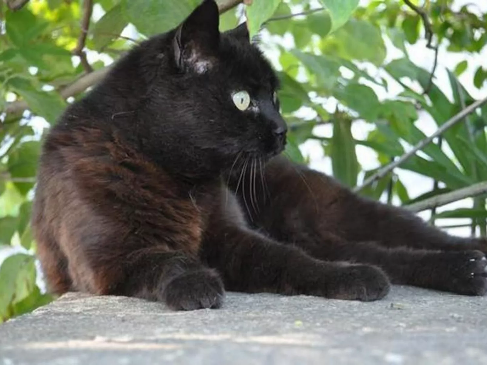 Studio Cresta Bianca-Buiten