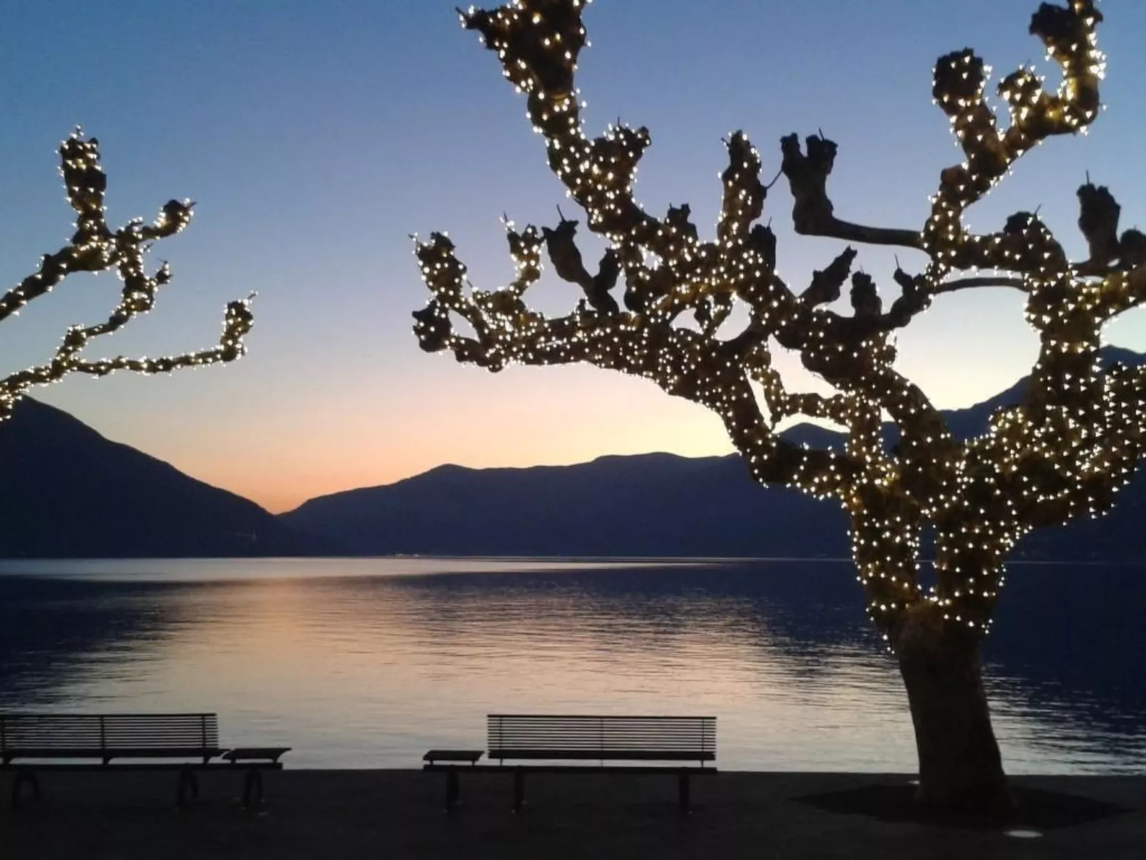 Asconita-Image-tags.info