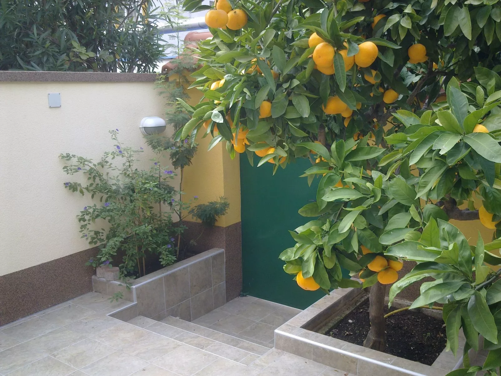 „Kleine Villa Tony“-Buiten