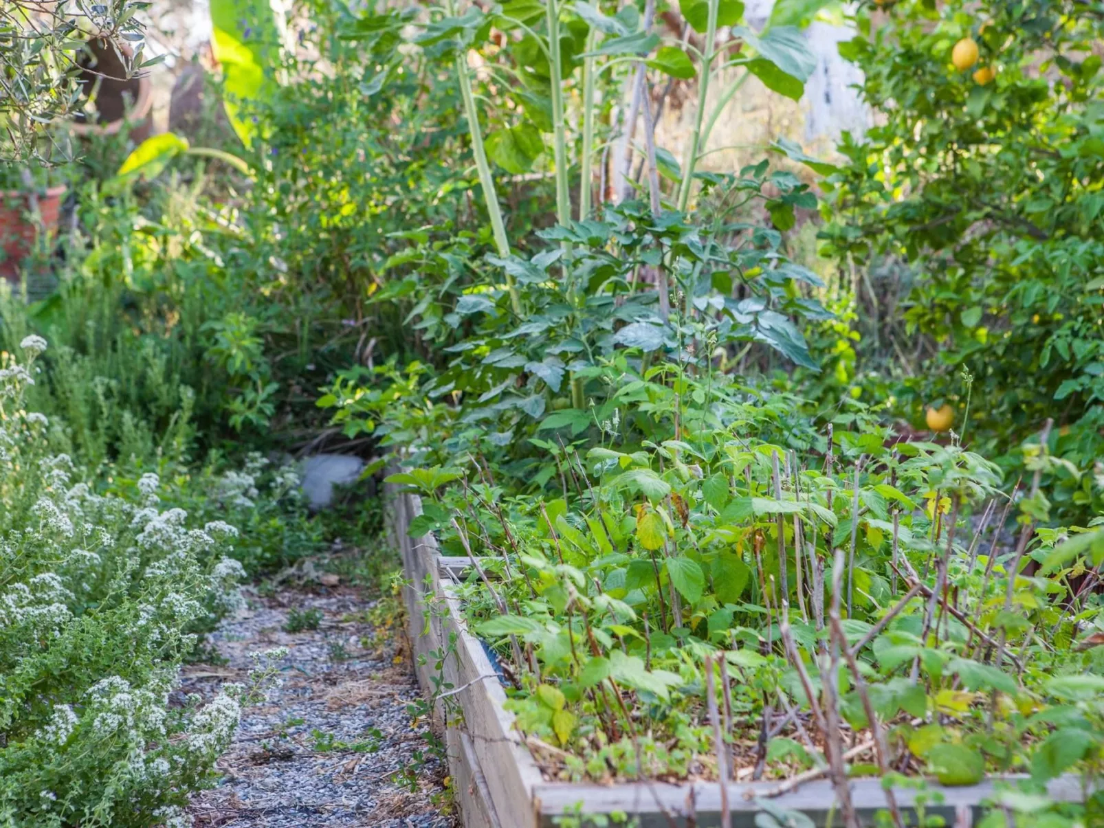 Hütte mit eigenem Garten und Grill-Image-tags.info