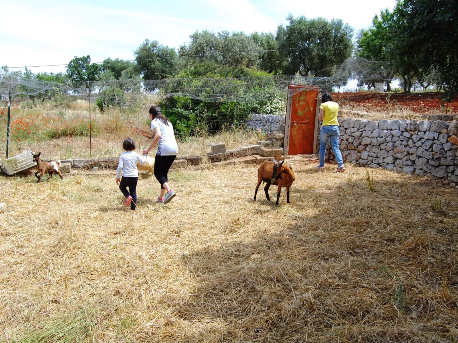 AZZURRO-Image-tags.info