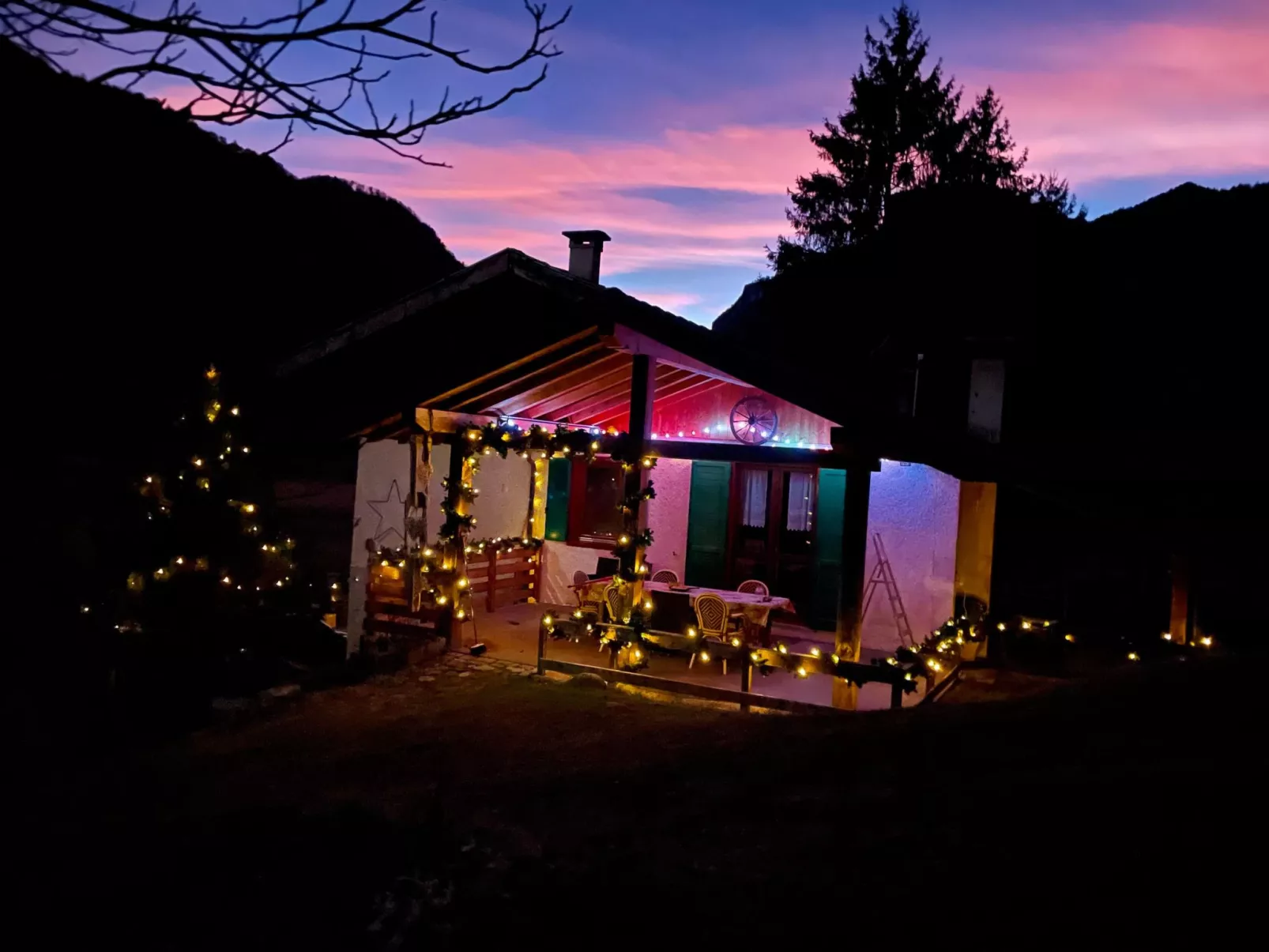 Gesegnet wie Frösche auf einem Seerosenblatt-Buiten