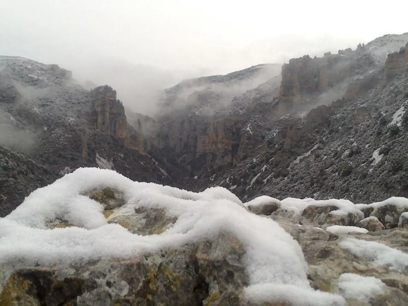 Javier Haus-Image-tags.info