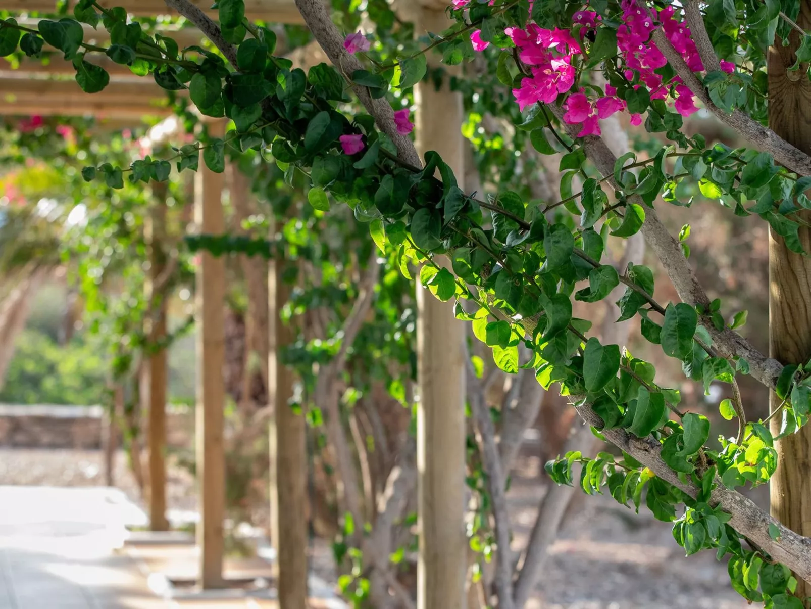 Casa Llevant 4 pax-Buiten