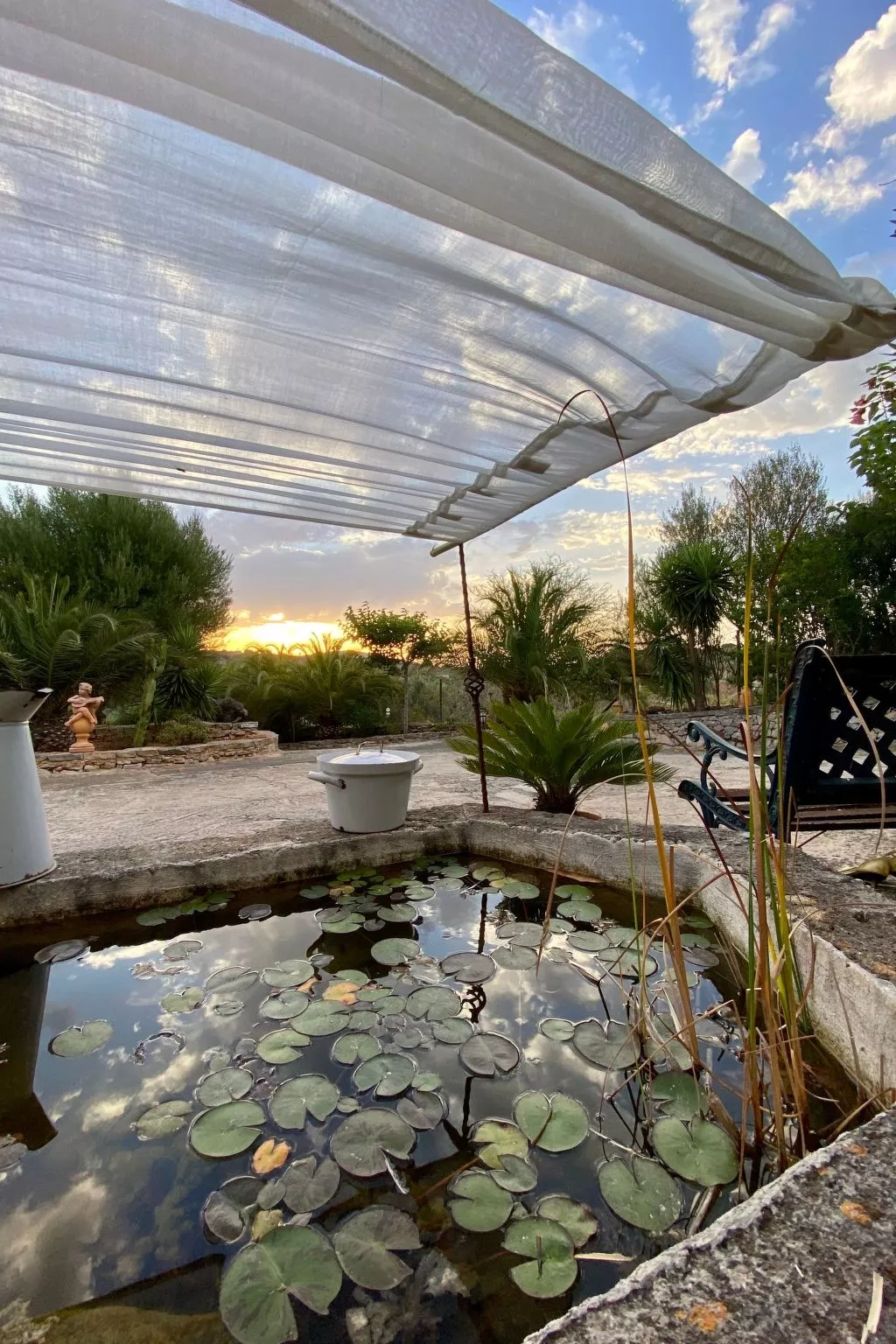 Juniorsuite-Image-tags.info