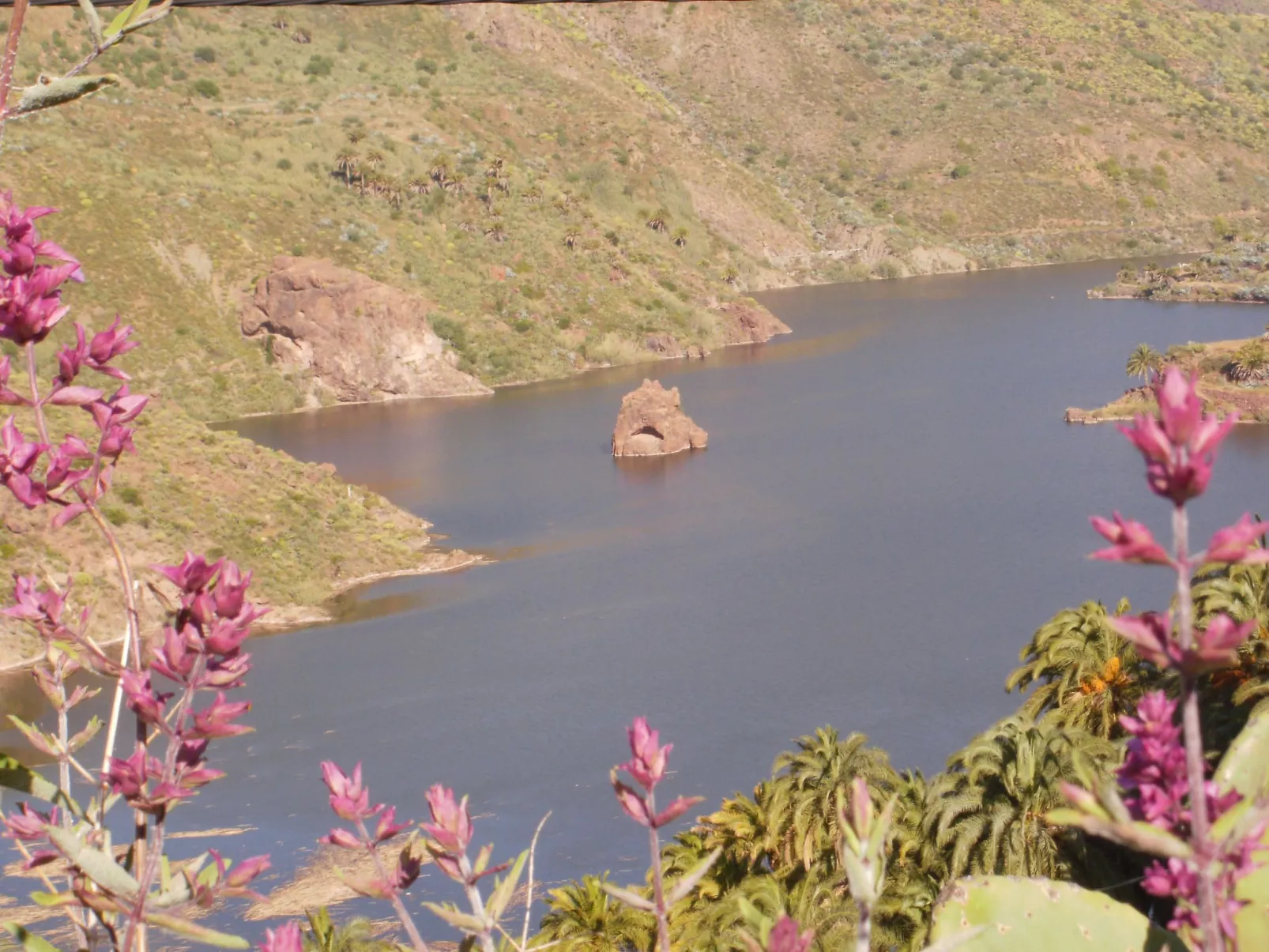 Die Schule von La Sorrueda-Buiten