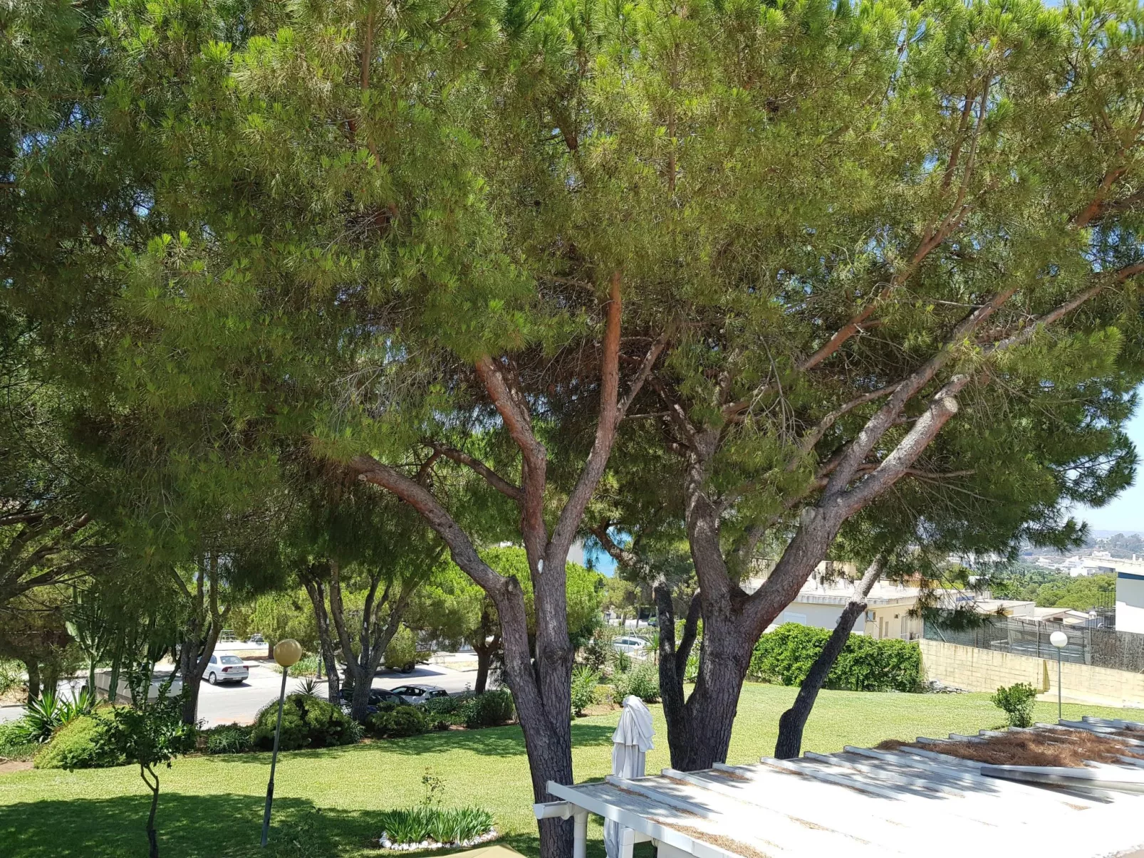 Der Ort des Lichts-Buiten