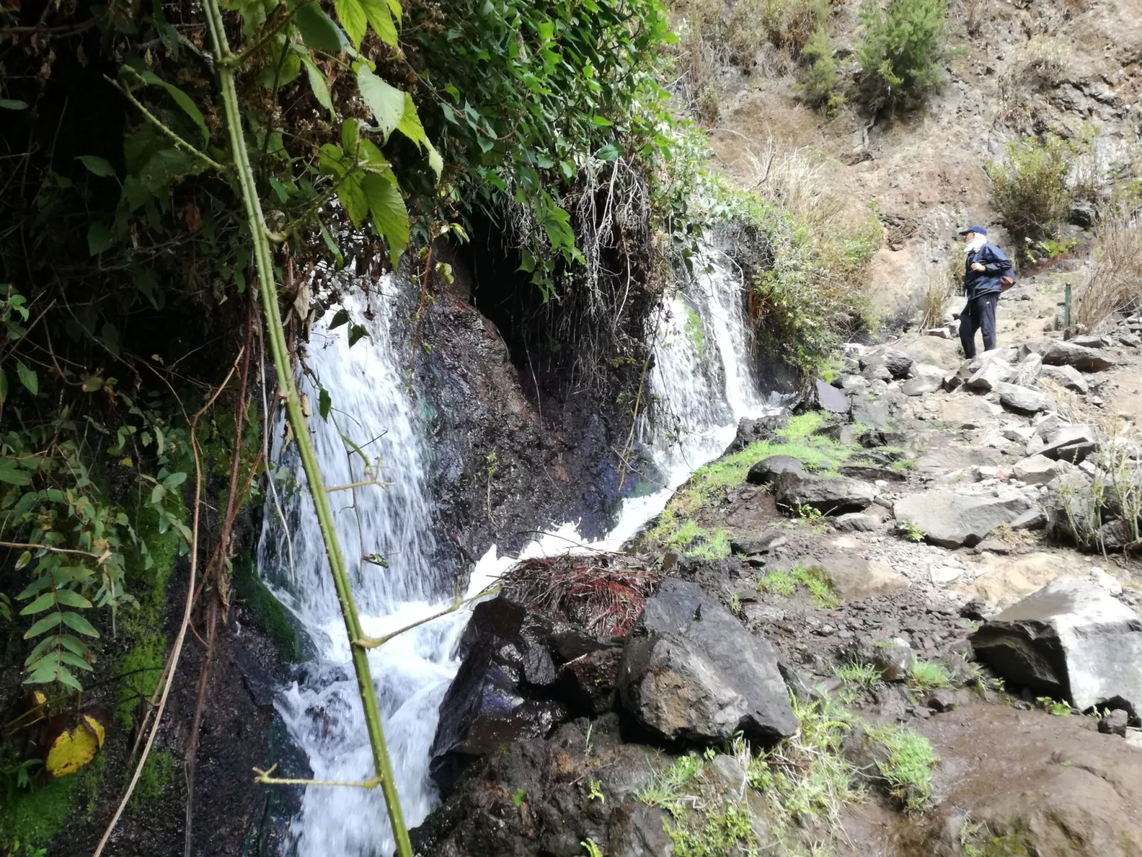 Haus La Majada-Image-tags.info