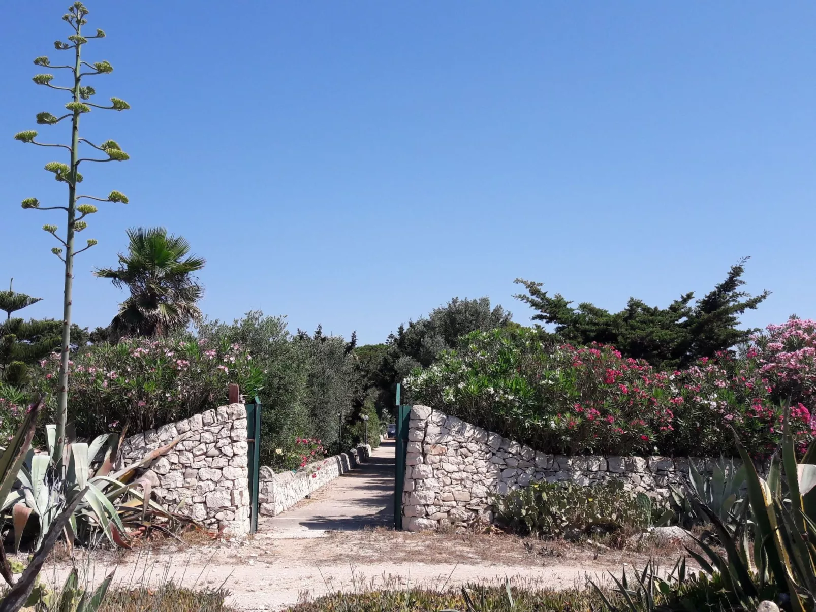 Villa Matilde: Kleine Ferienwohnung mit Meerblick-Image-tags.info