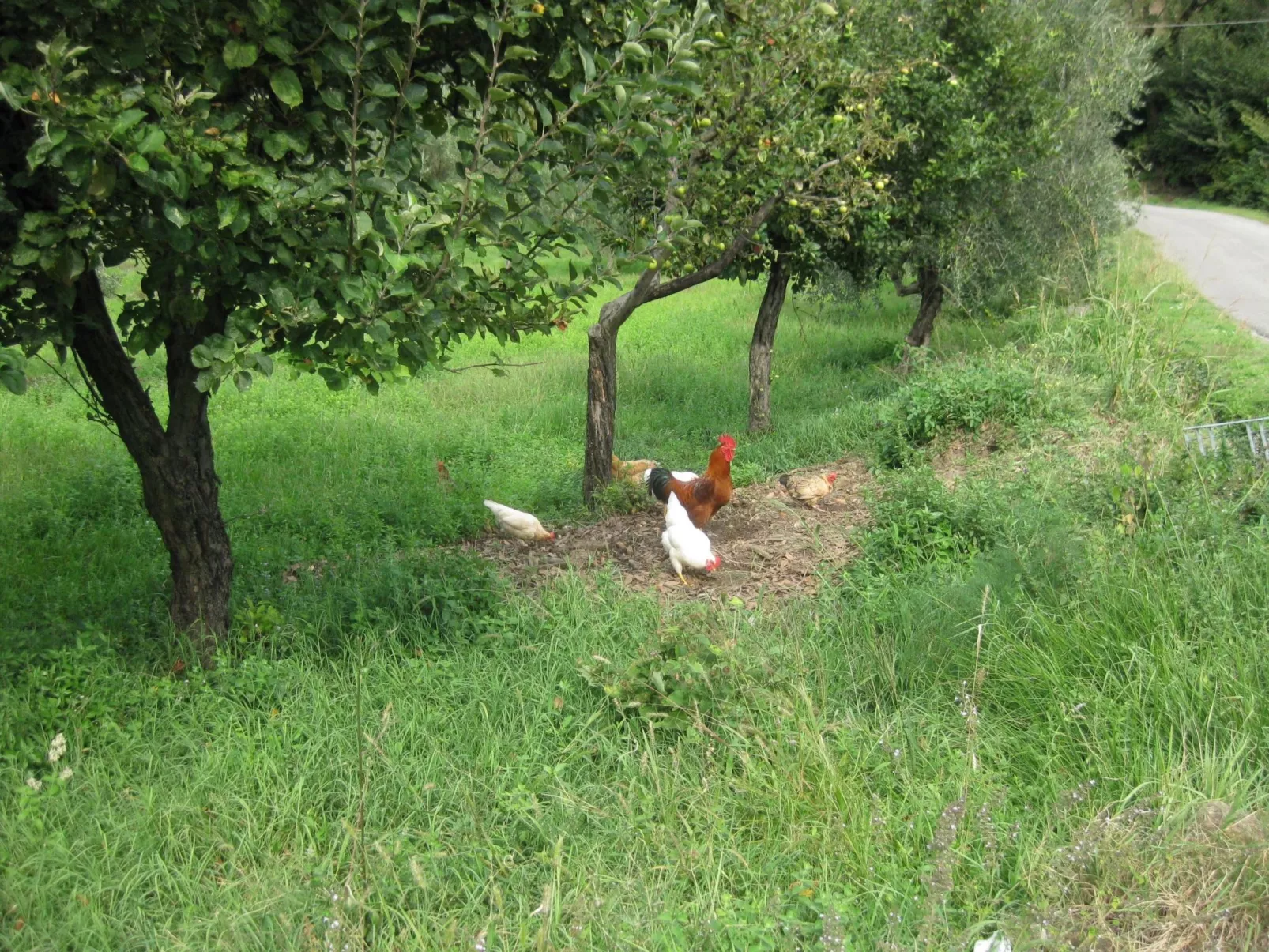 'La torre' mit Pool-Buiten