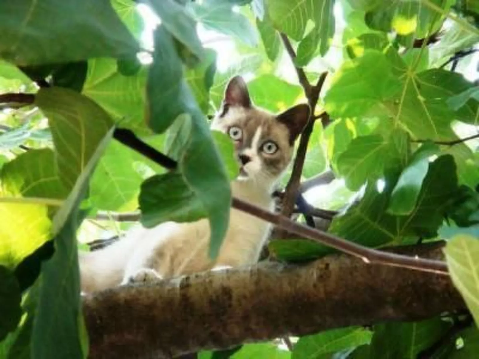 Mit großer Terrasse-Image-tags.info