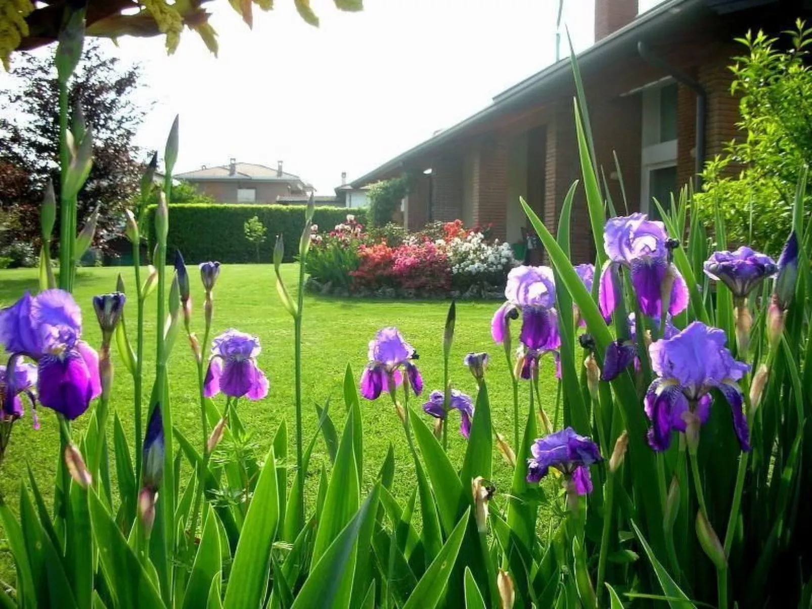 Wohnung mit Garten in der Nähe des Lago Maggiore-Buiten