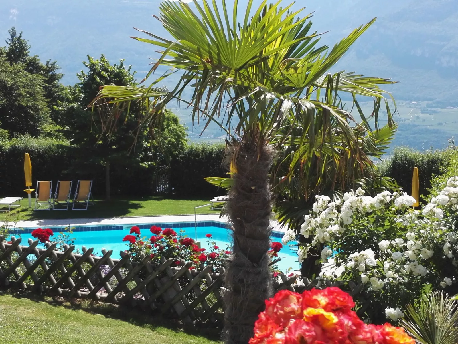 Gala+ Vernatsch-Buiten