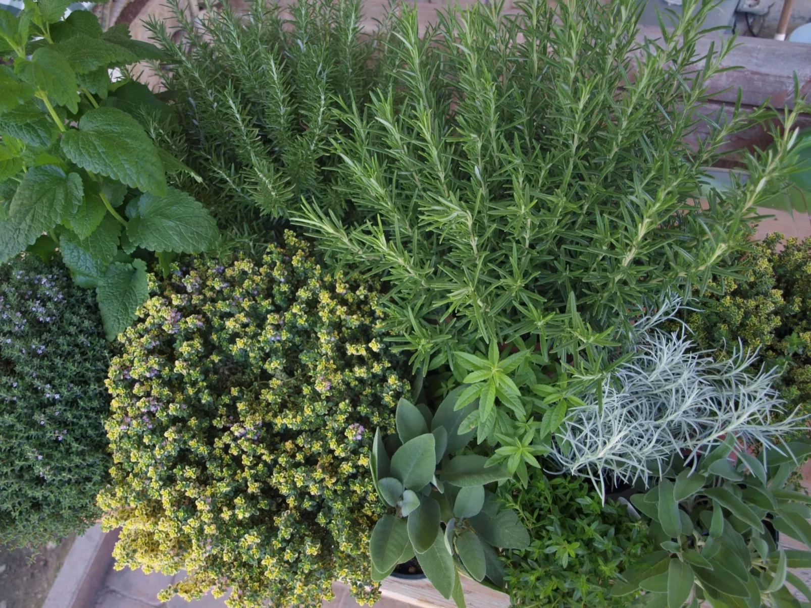 Kerschbamerhof Fewo Pink Lady mit Panoramablick-Image-tags.info