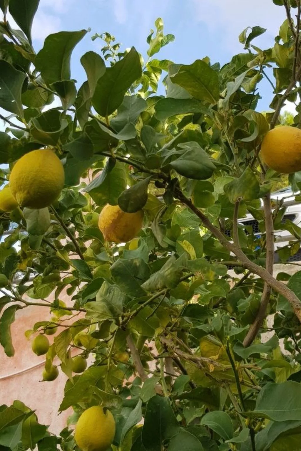 Casa Niu Crobu-Image-tags.info