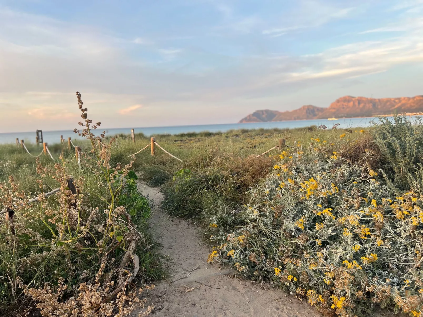 In Strandnähe-Buiten