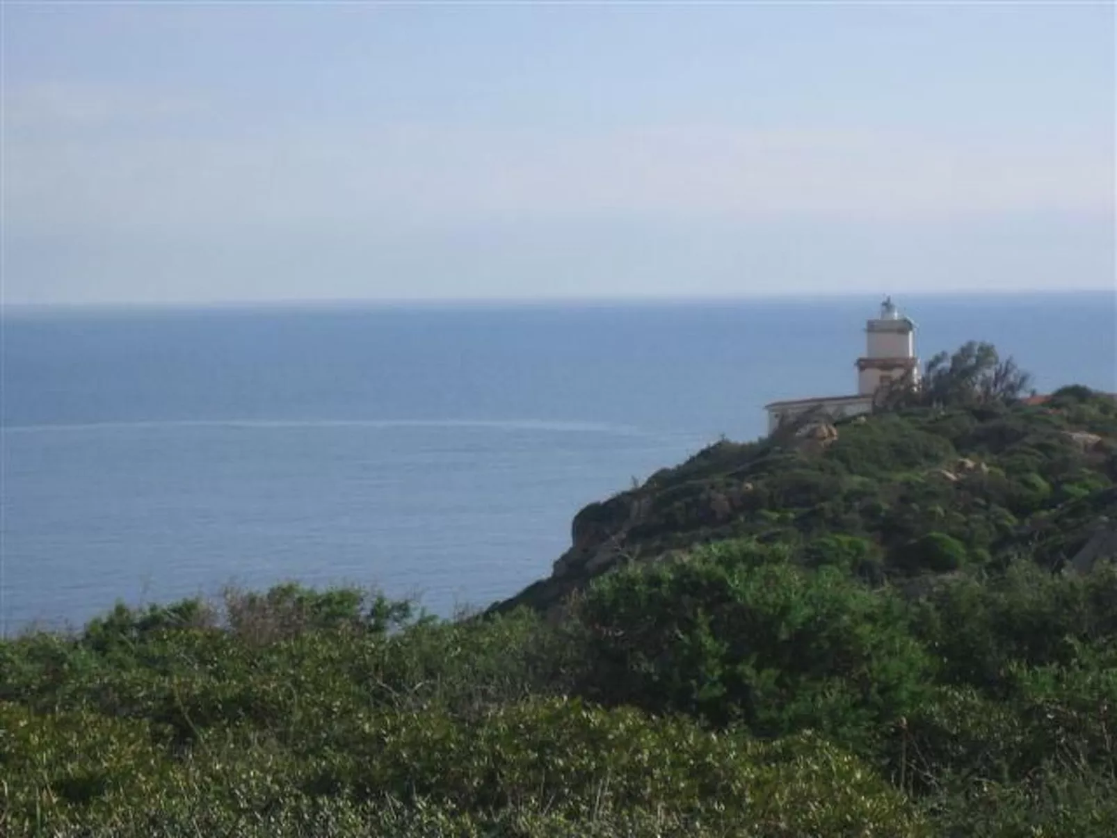 Natur, ökologische Nachhaltigkeit, nur für Erwachsene, Meer in der Nähe-Image-tags.info