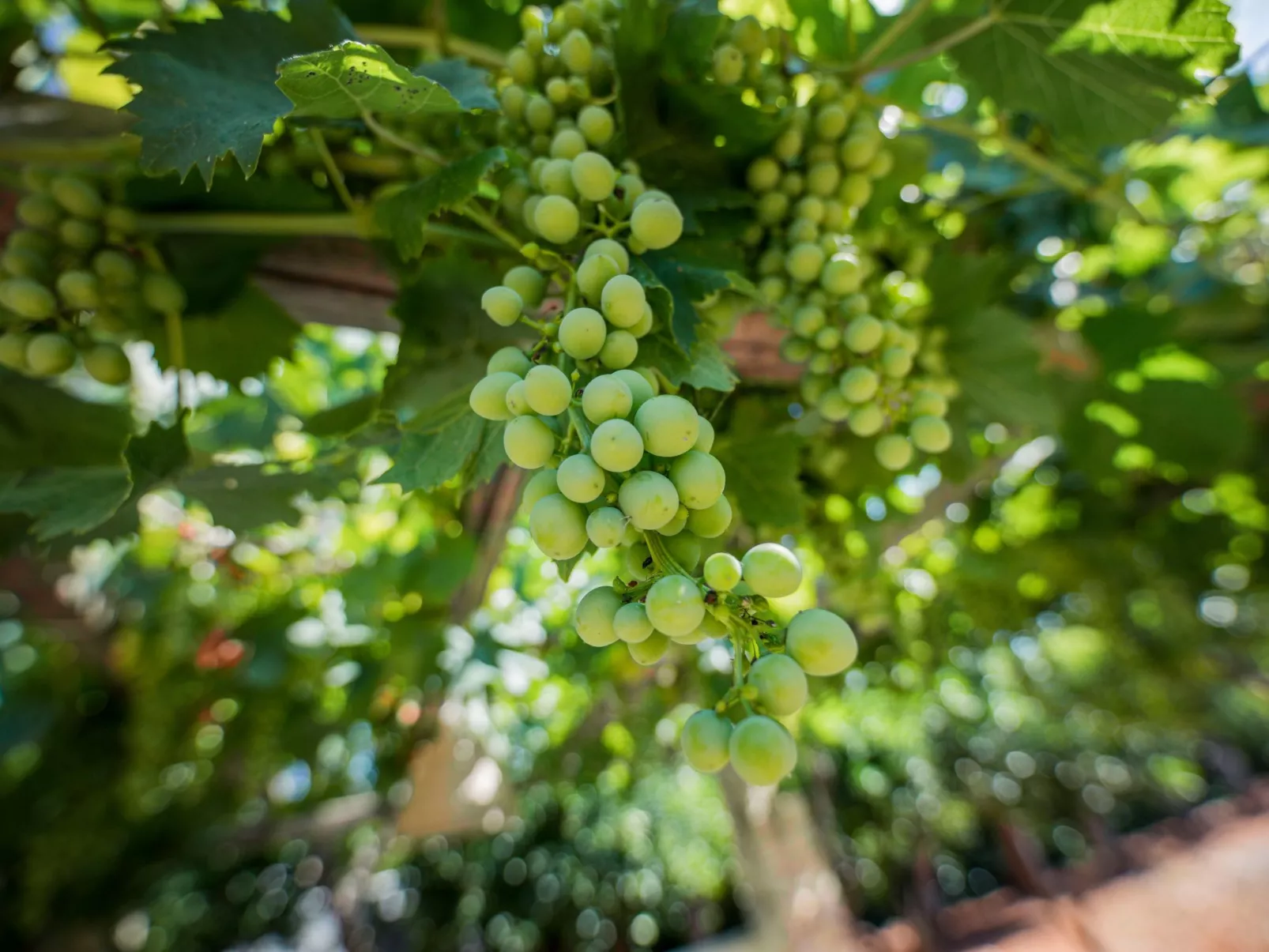 Casal del Borgo 7-Buiten