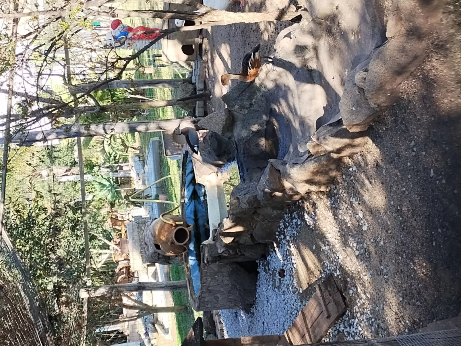 Residenz Heaven 41R-Image-tags.info