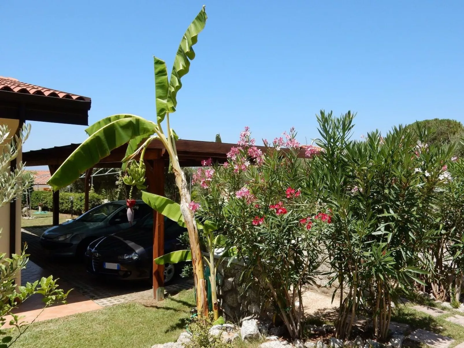 Zweizimmerwohnungen direkt am Meer-Buiten